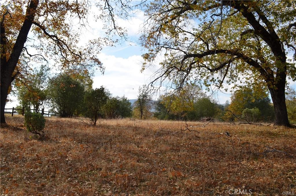 a view of dirt field with large trees