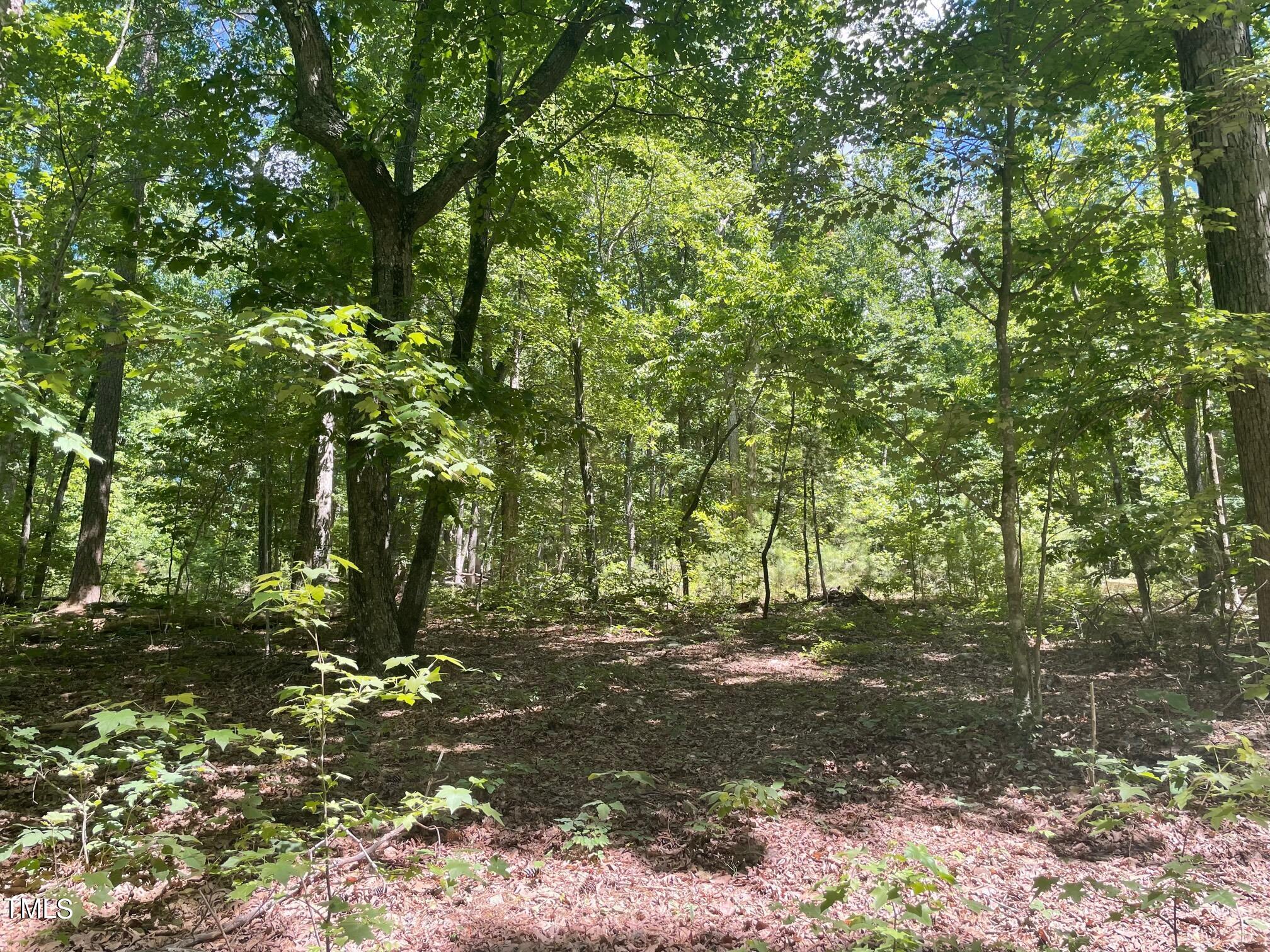 a view of outdoor space and trees