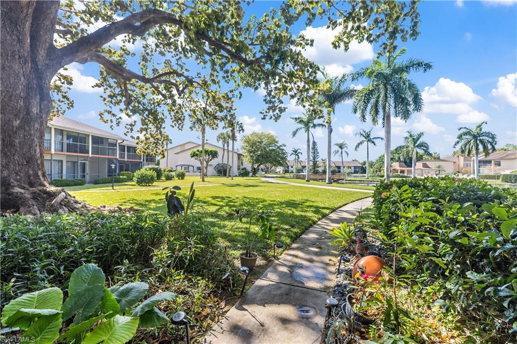 a view of a yard with palm trees