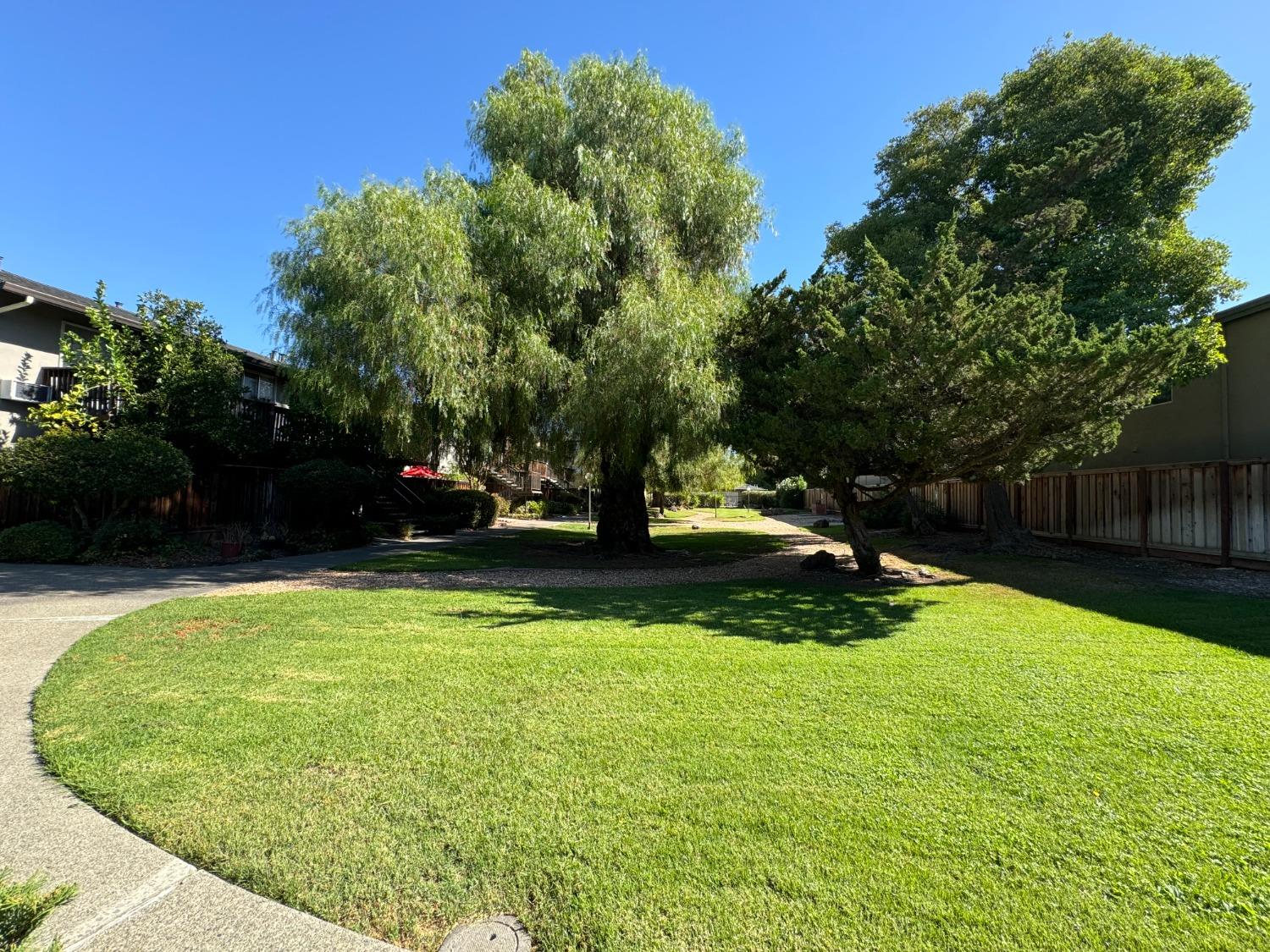 a view of a garden with plants