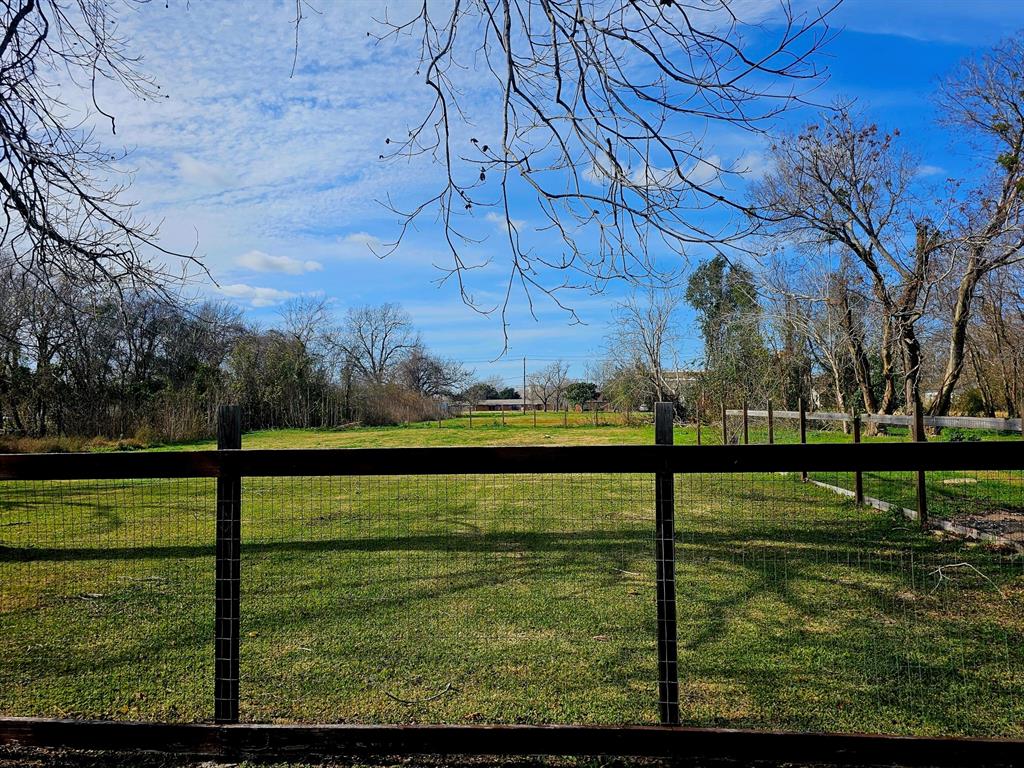 a view of a park with large trees