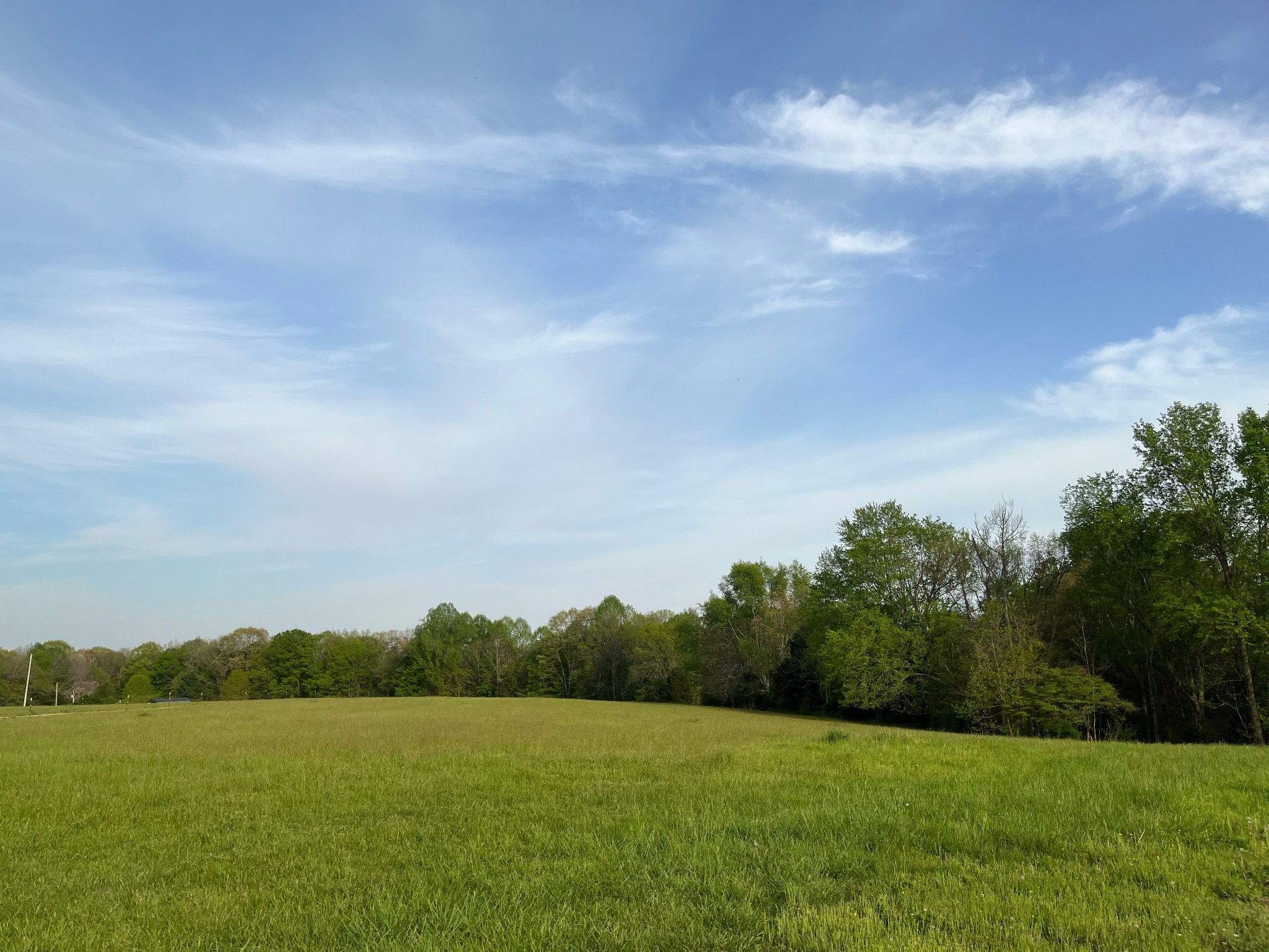 a view of a field with trees in the background