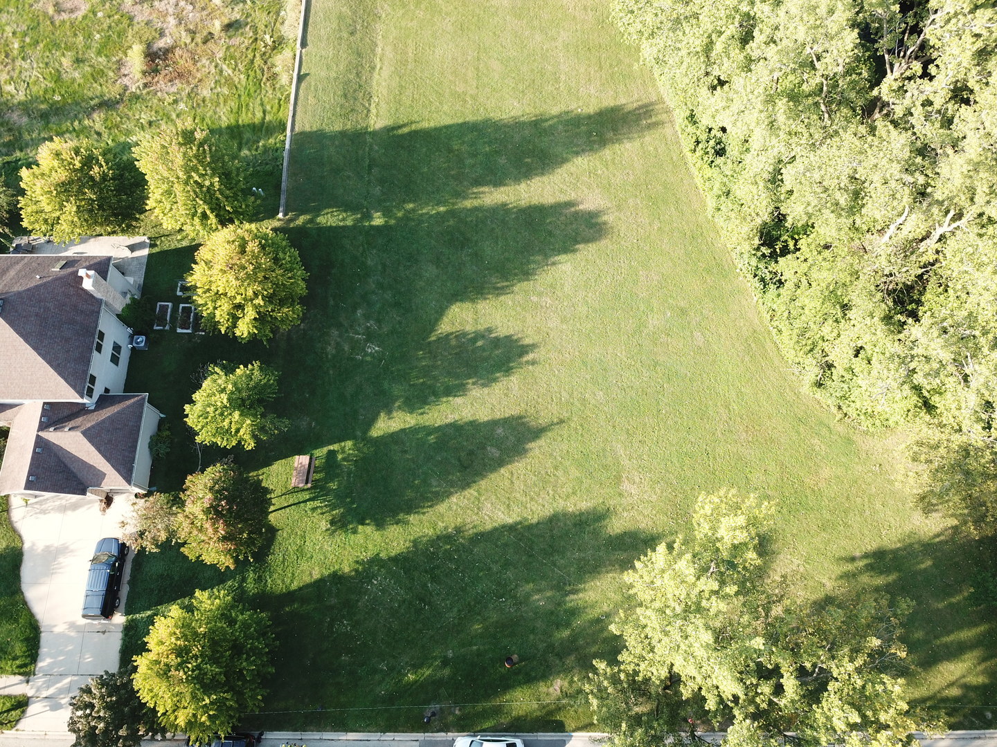 a garden view with lake