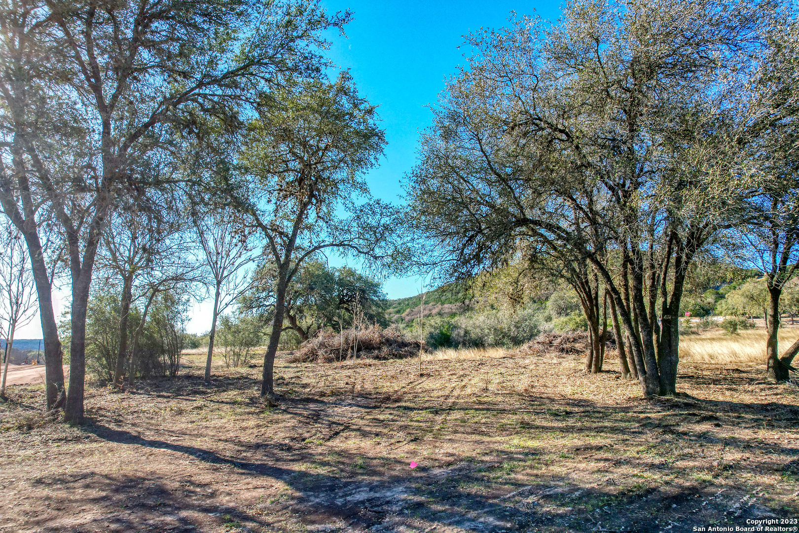 a view of a yard with a tree