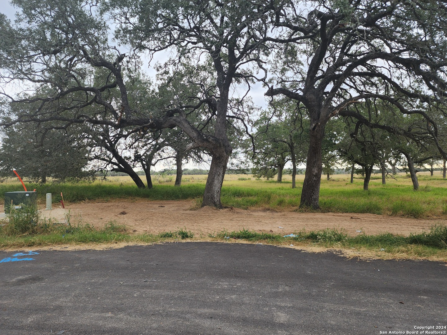 a view of road and trees