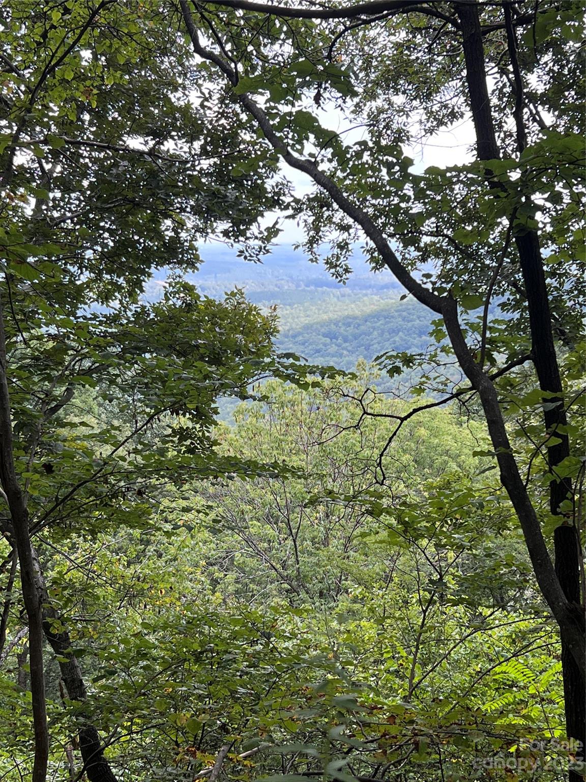 a view of mountain view with lots of trees