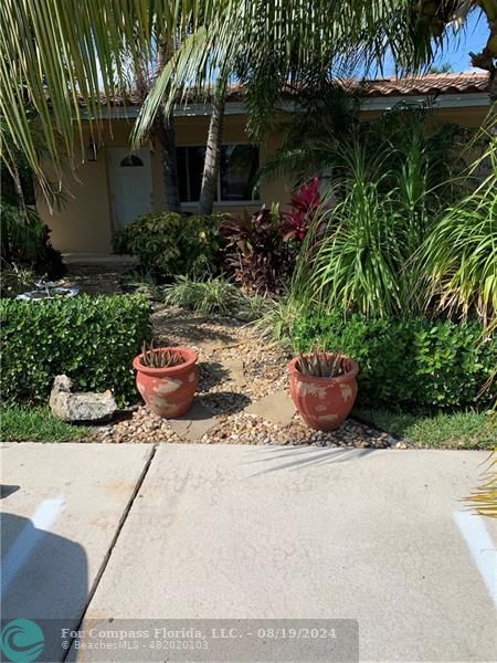 a view of a backyard with plants and a patio