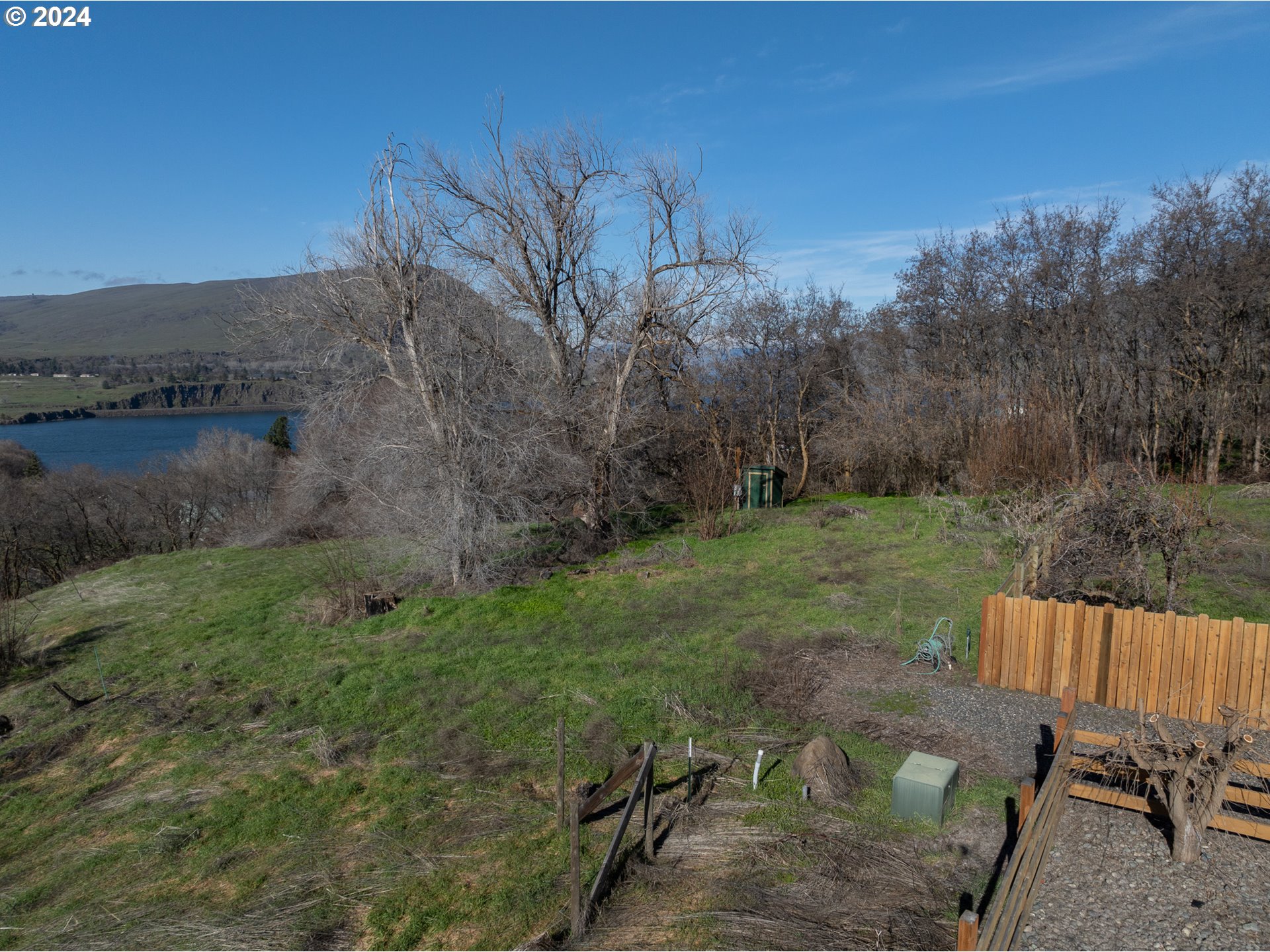 a view of a backyard with plants and lake