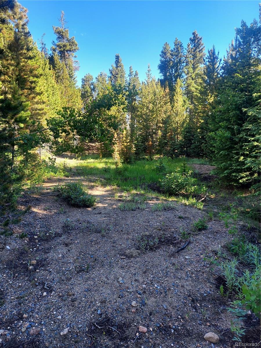 a view of outdoor space and yard