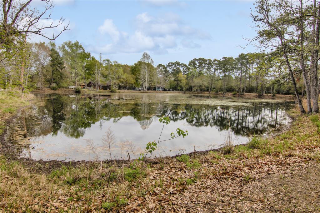 a view of a lake in between two trees