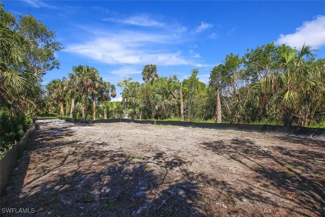 a view of dirt yard with large trees