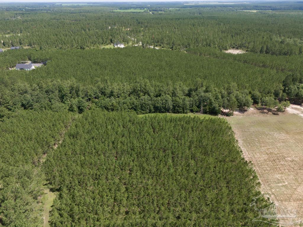 a view of a field with an ocean