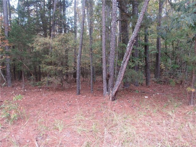 $75,000 | 0 Taylors Chapel Road | Oakland Township - Chatham County