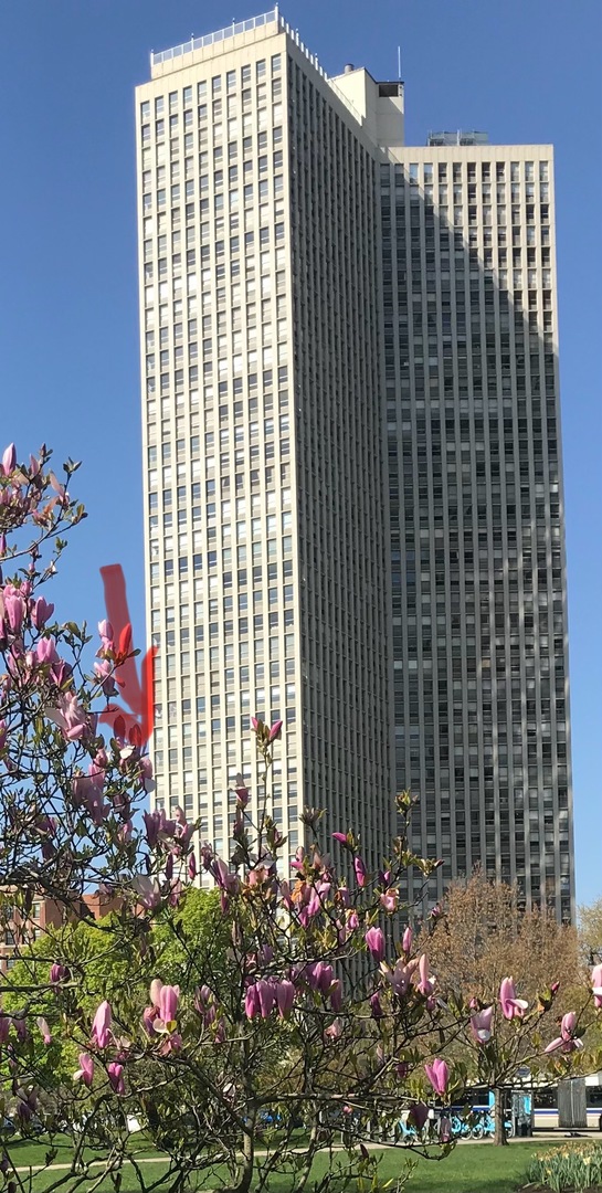 a view of a flower