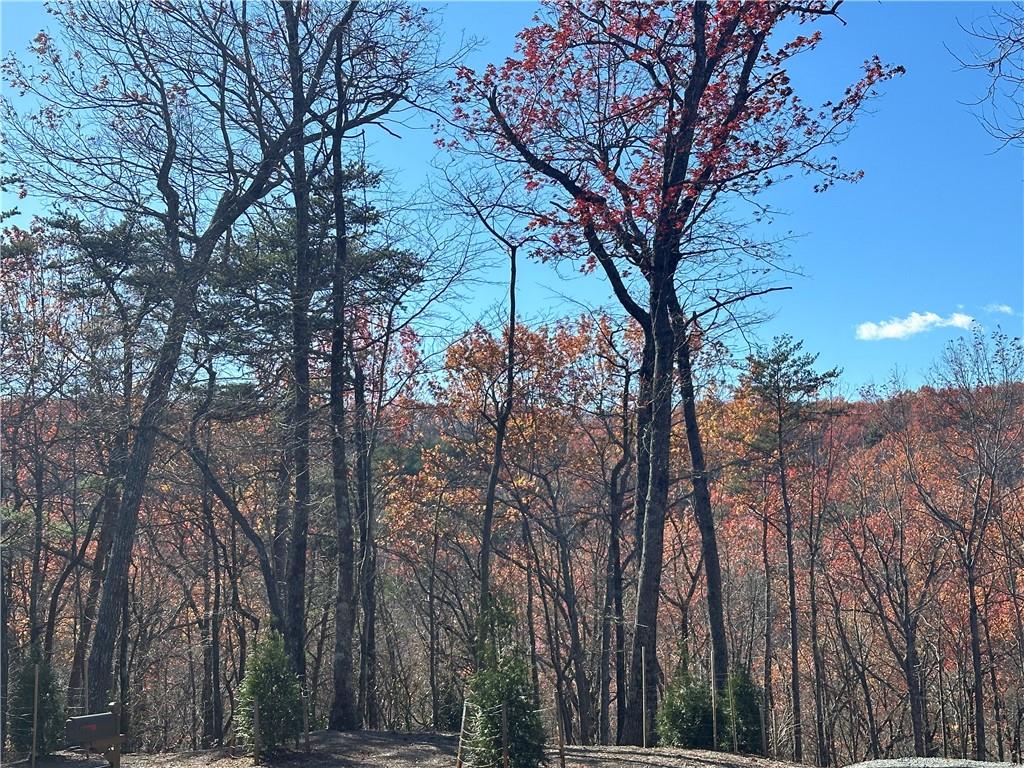 a view of trees in between the two buildings