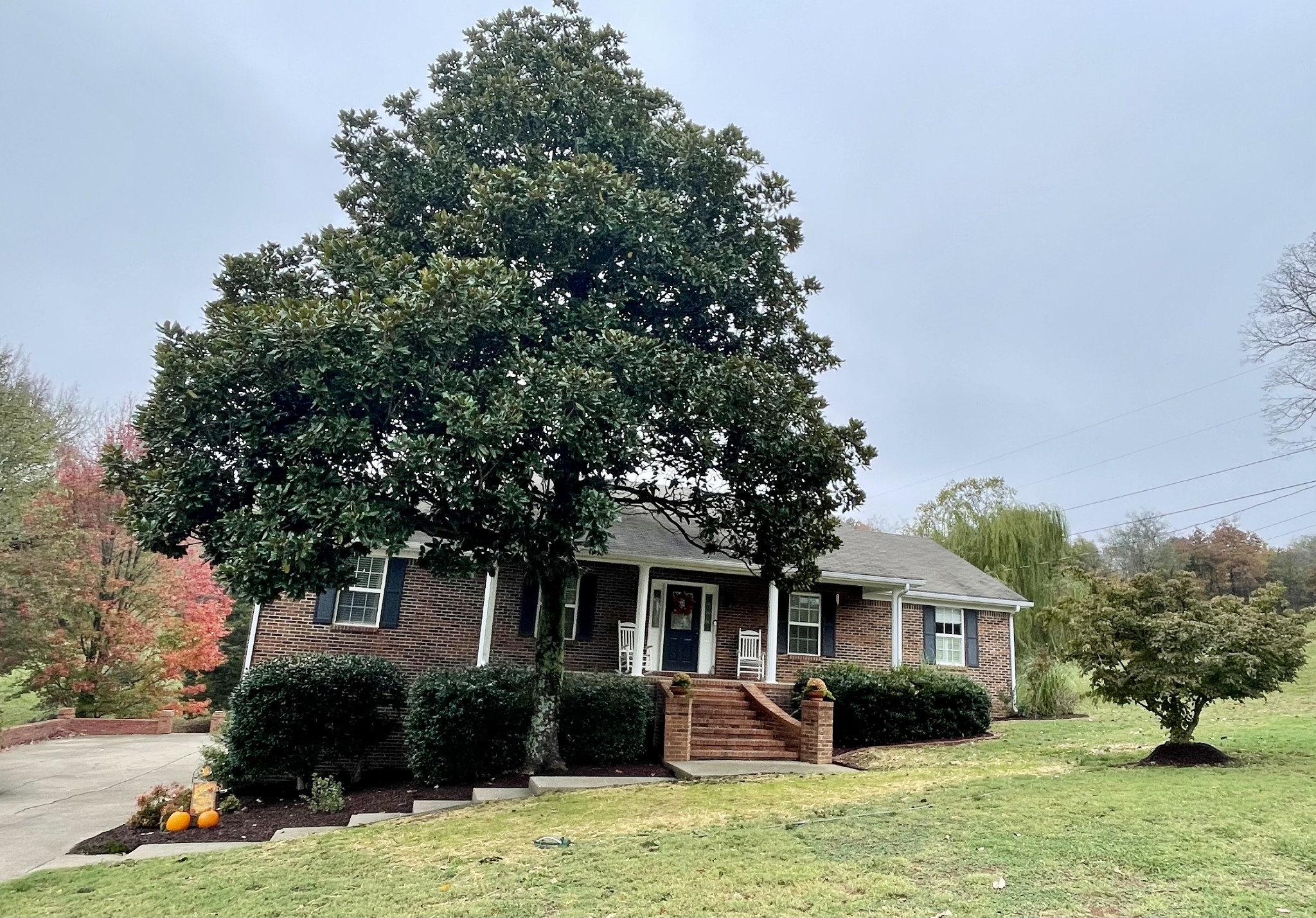 a front view of house with yard and trees