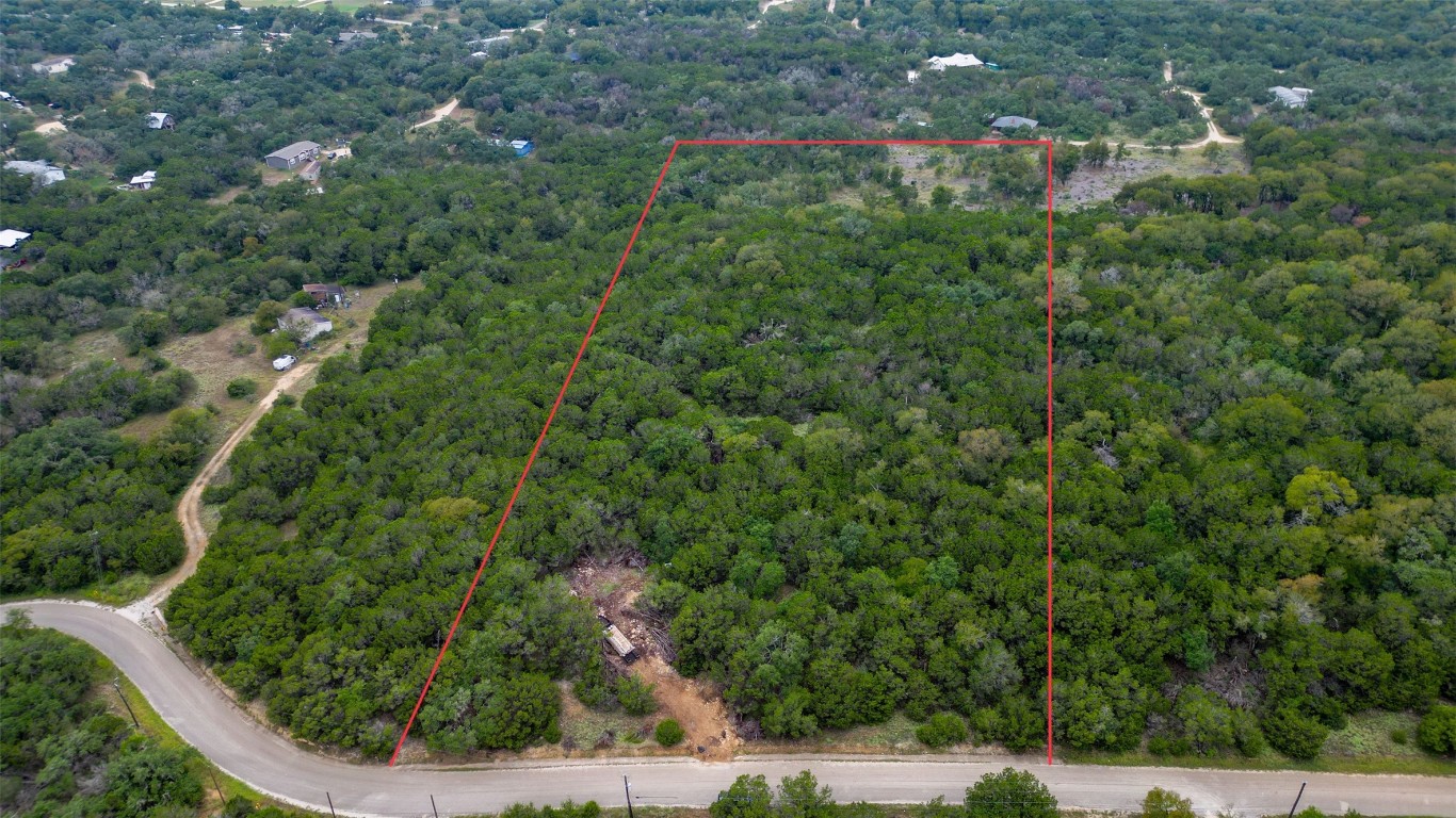 a view of a forest with a building