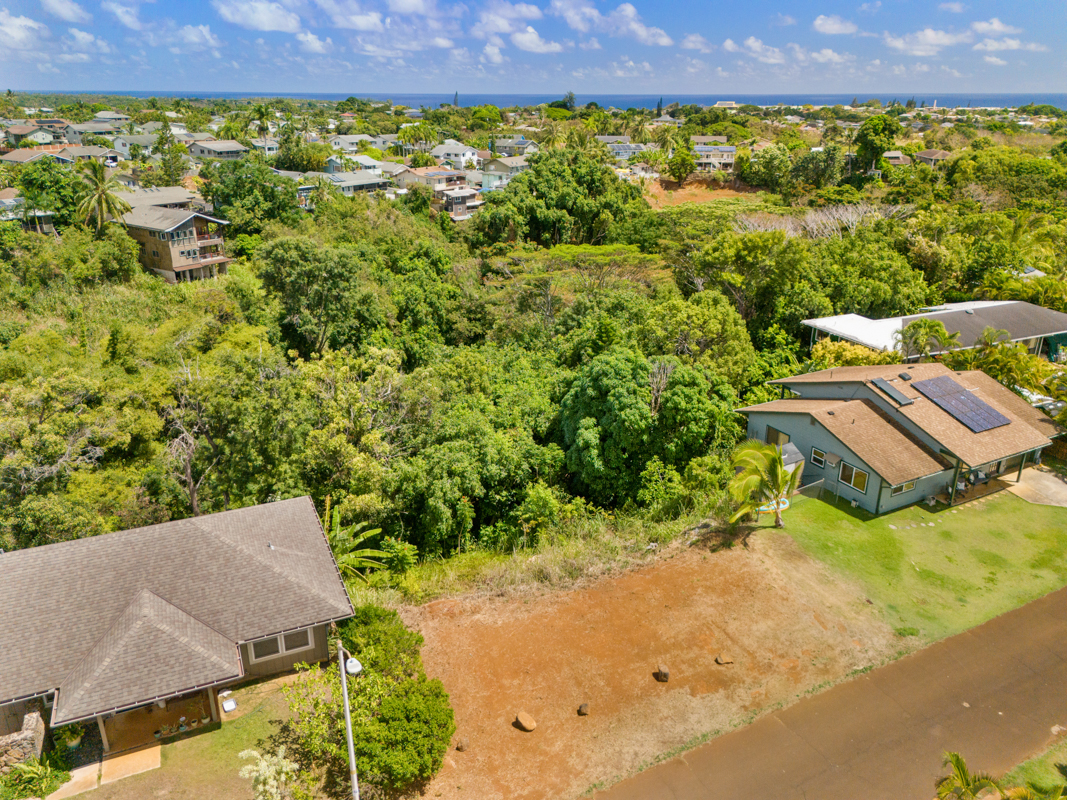 a view of a back yard