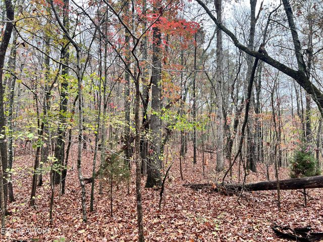 $149,900 | Lot 7 Raby Hollow Road