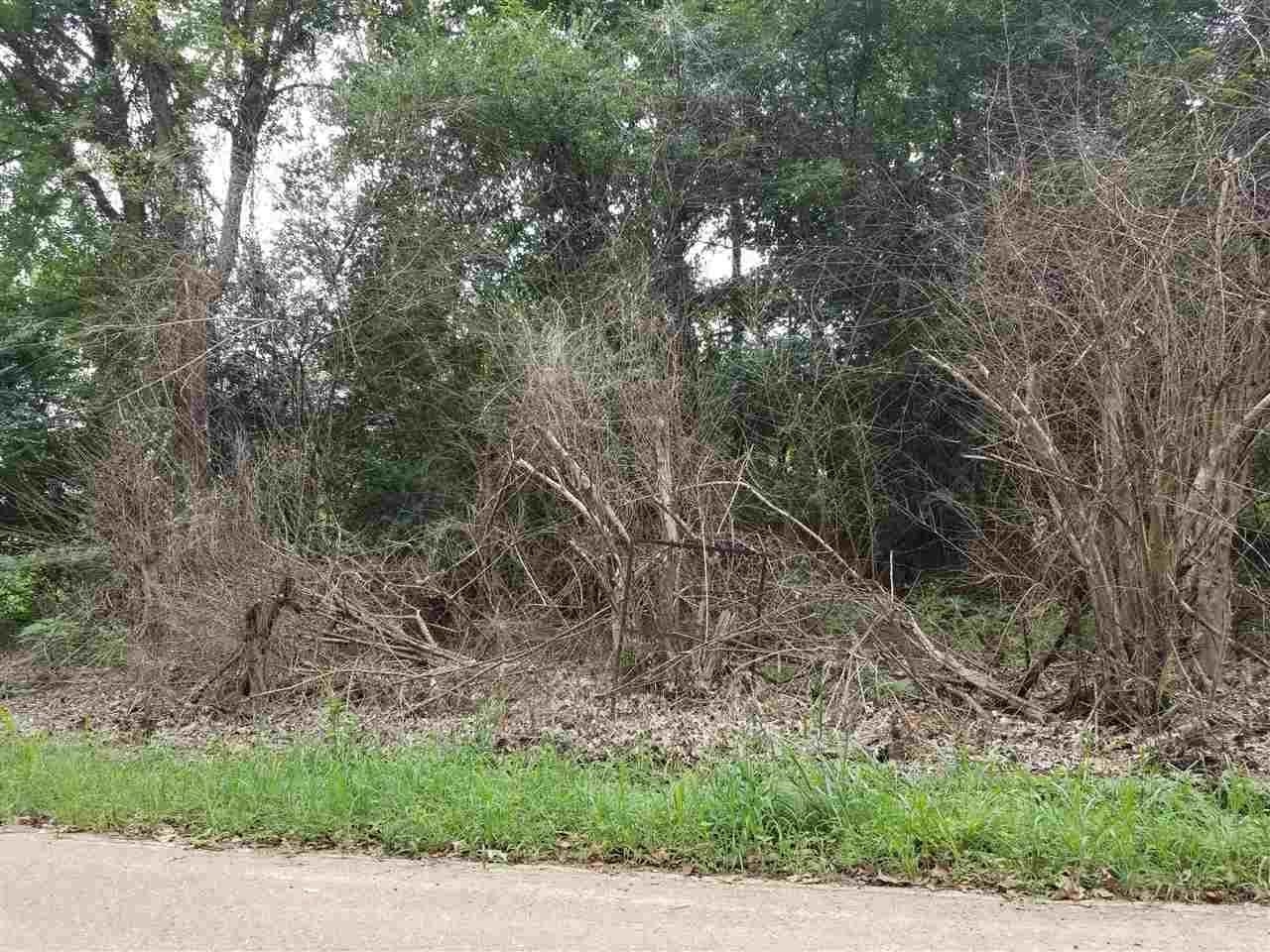 a view of a yard with large trees