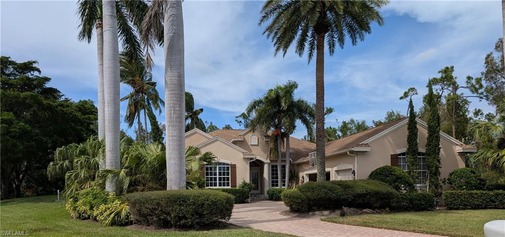 a palm tree sitting in front of a house with a yard