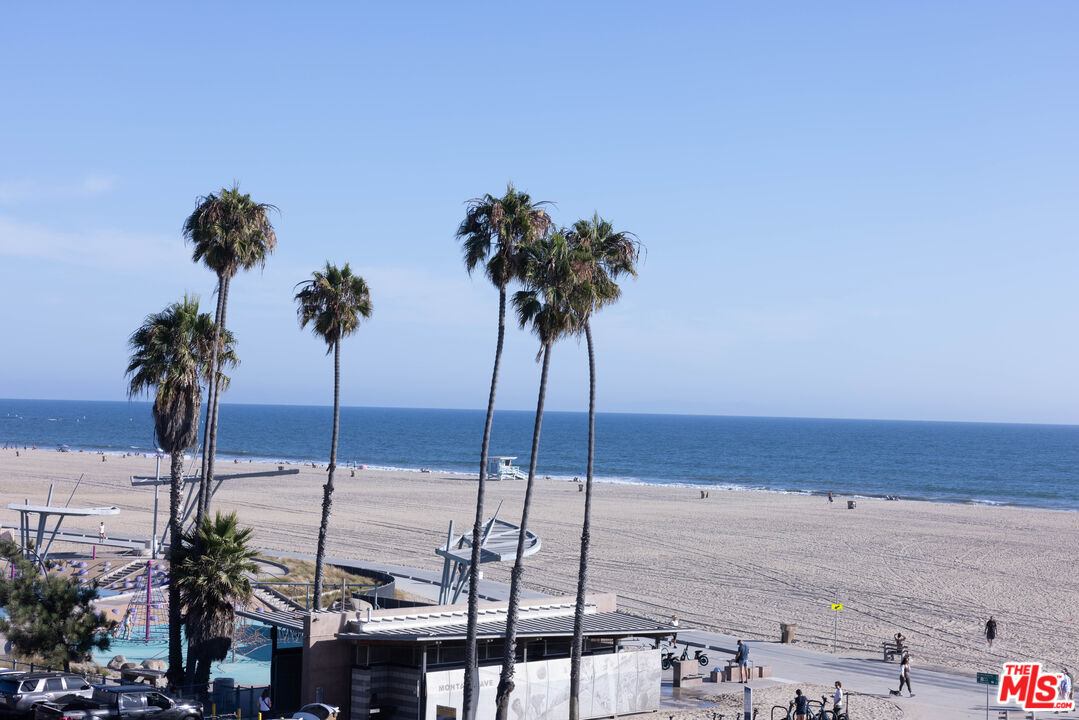 a view of ocean with palm trees