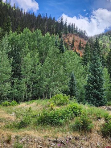 $275,000 | Tbd Tbd Cunningham Gulch Silverton Co 81433 | Telluride Area