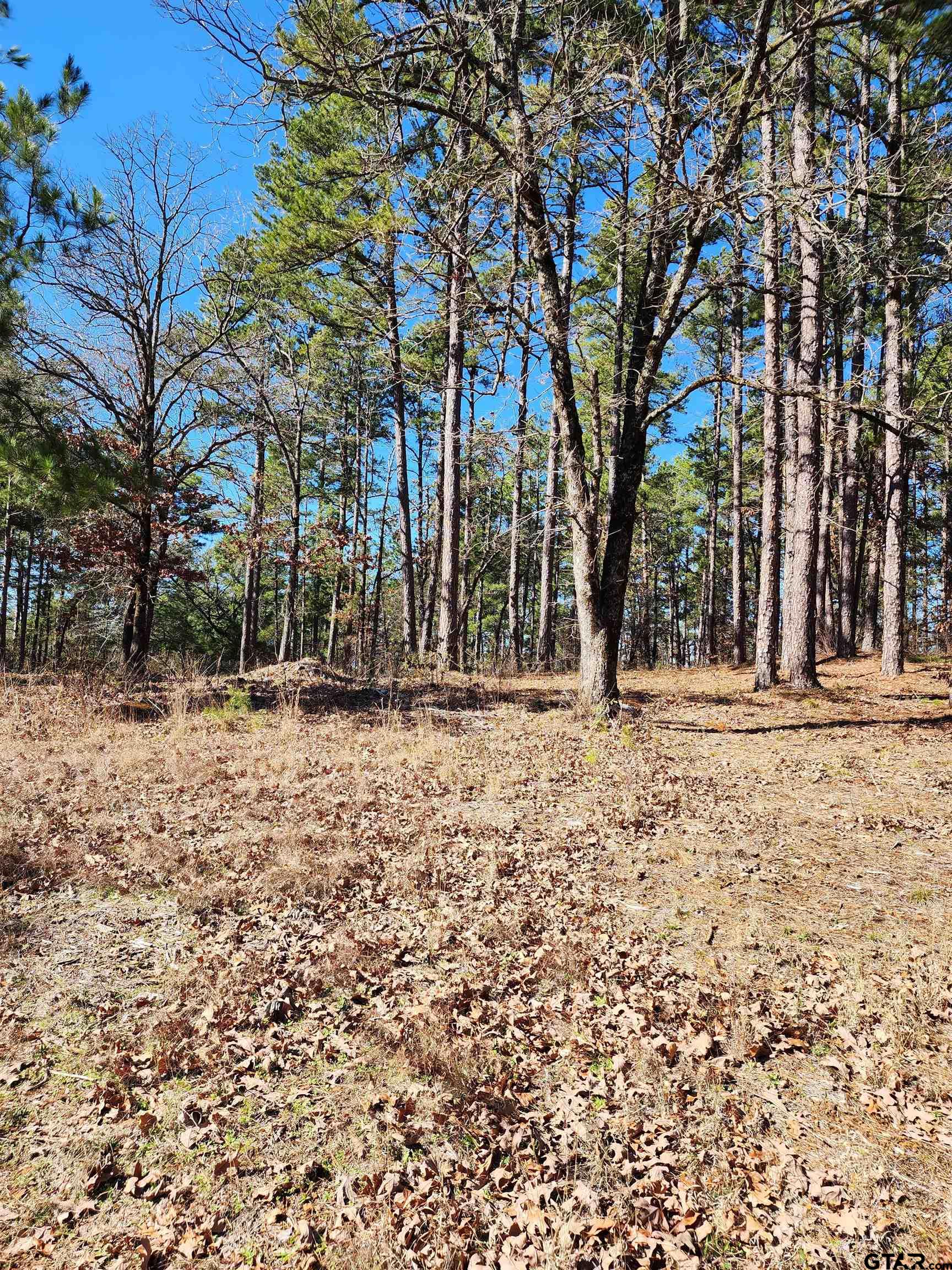 a view of outdoor space with trees