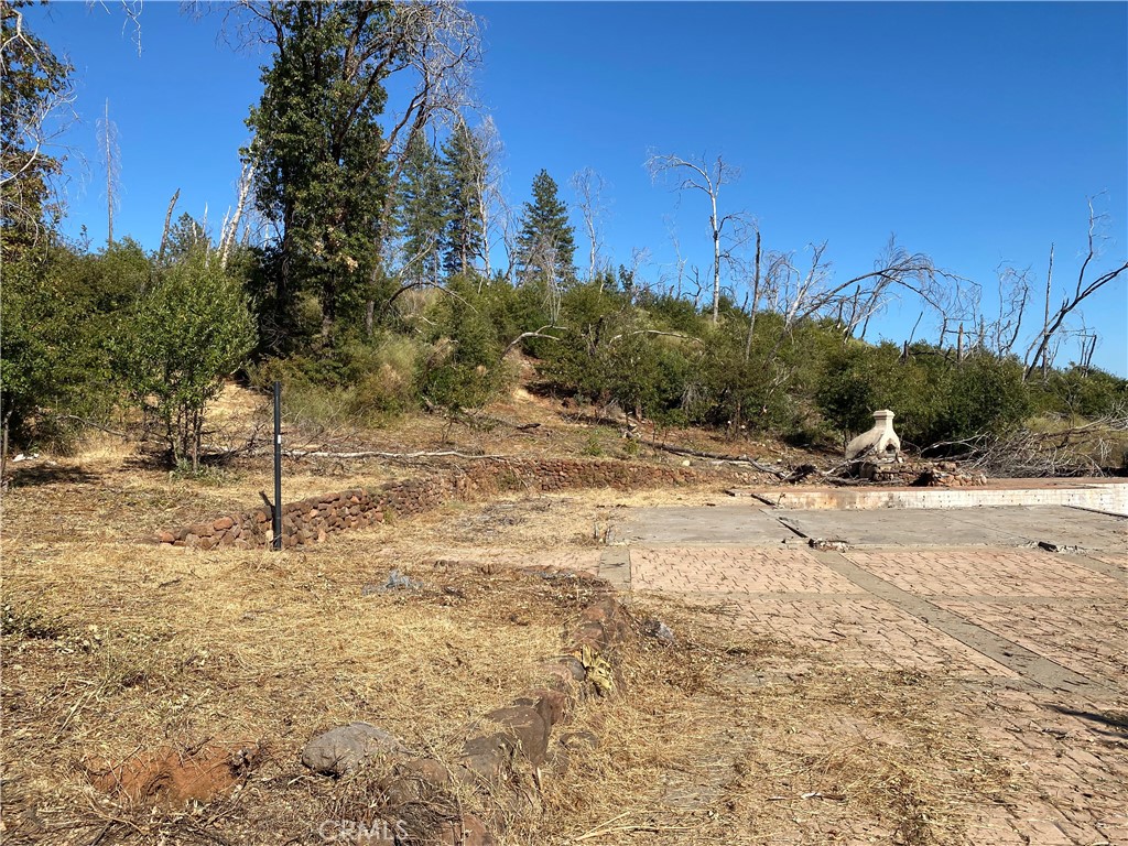 a view of a yard with trees