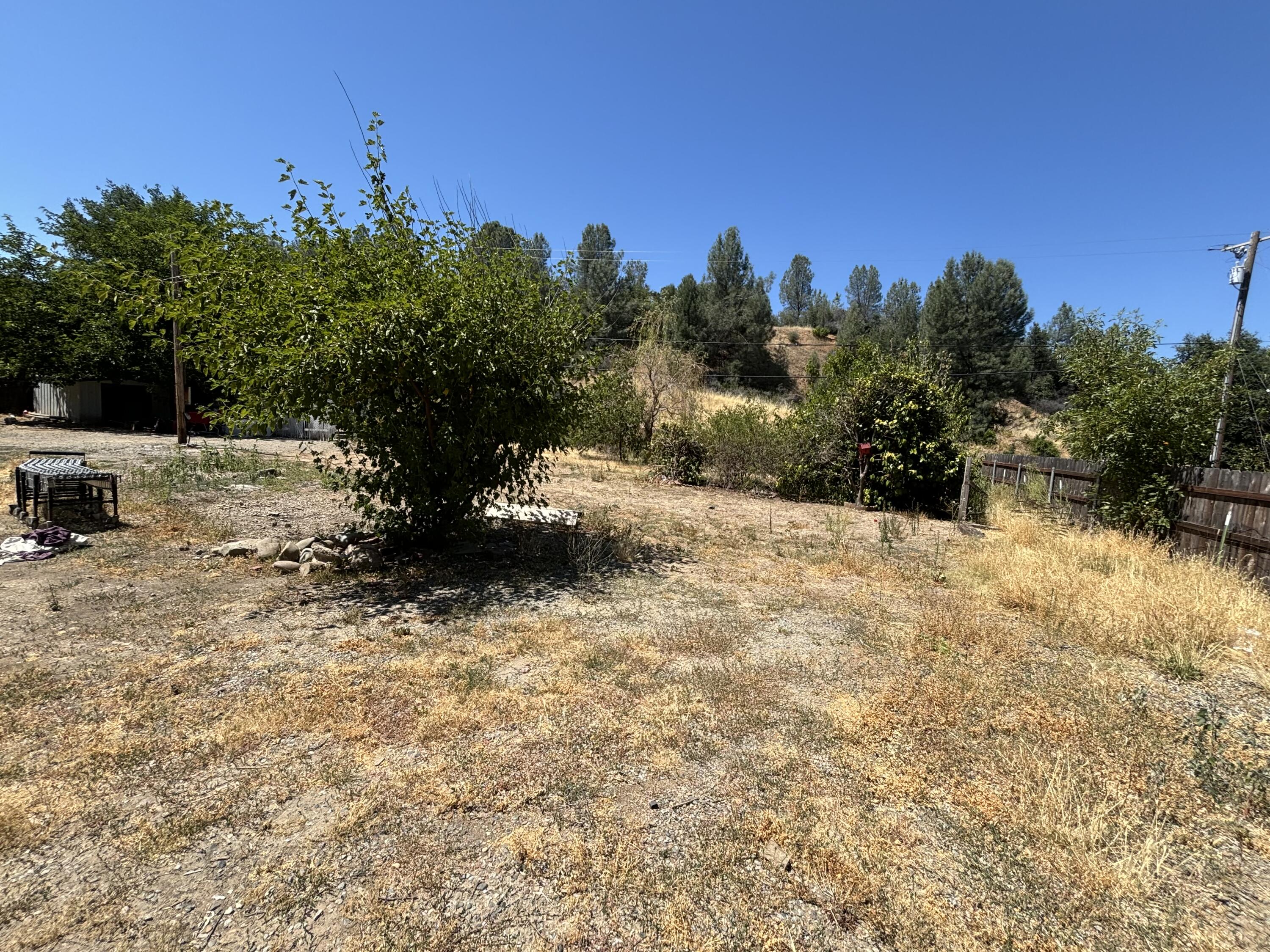 a view of a yard with trees