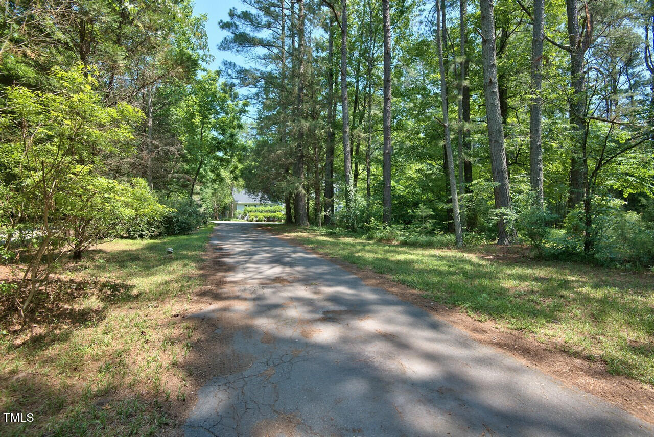 a view of outdoor space with trees all around