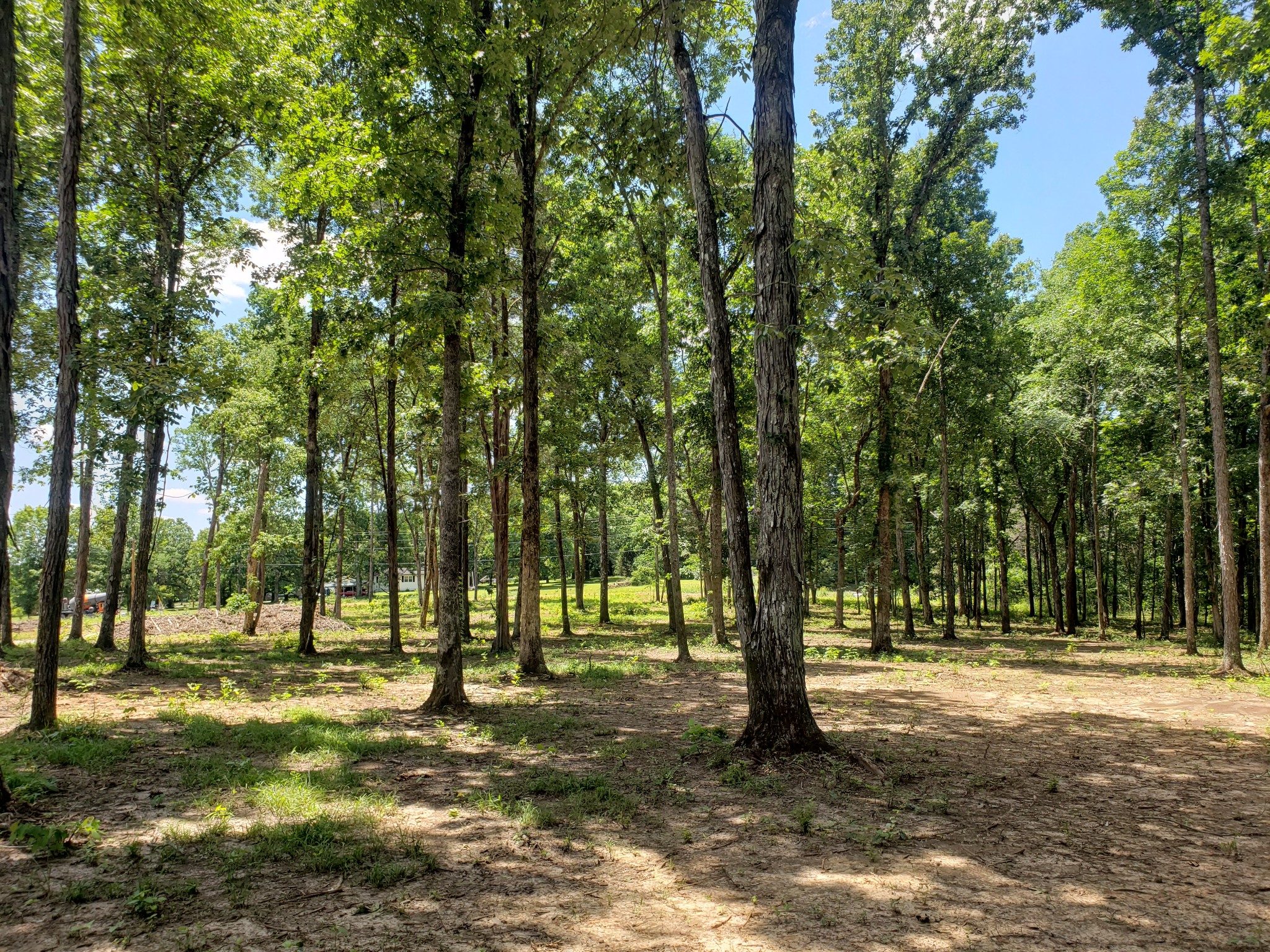 a view of outdoor space with trees