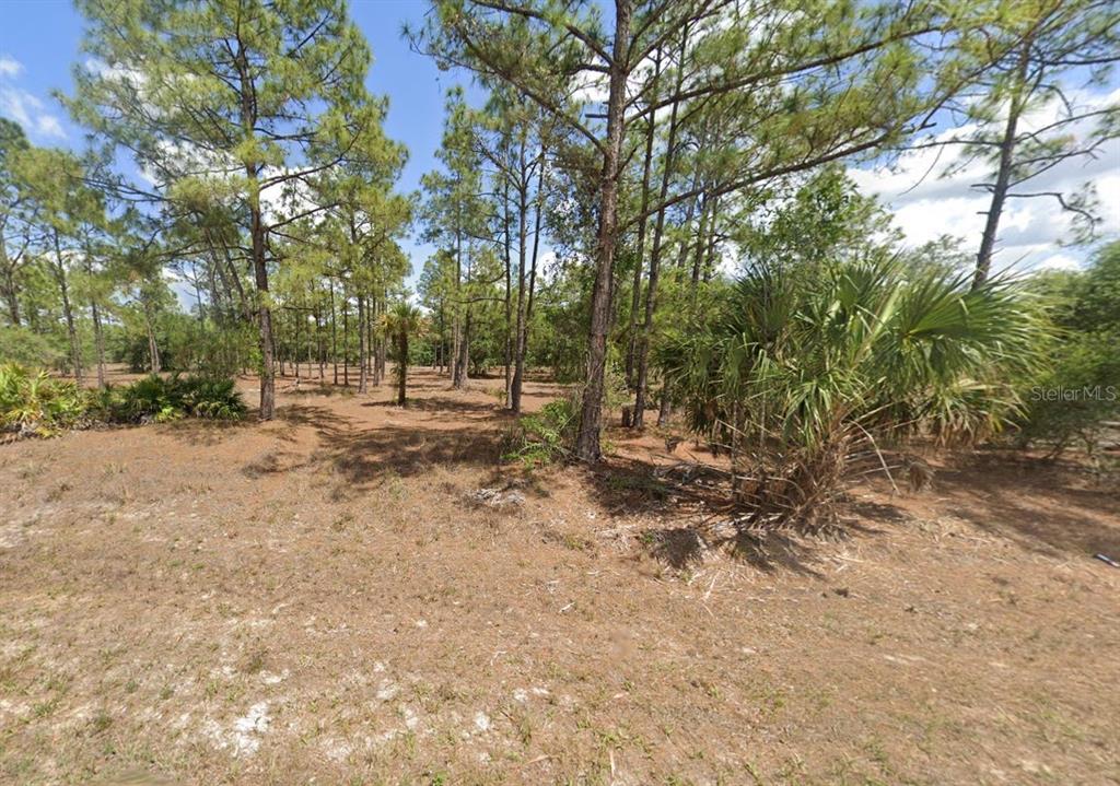 a view of outdoor space with trees