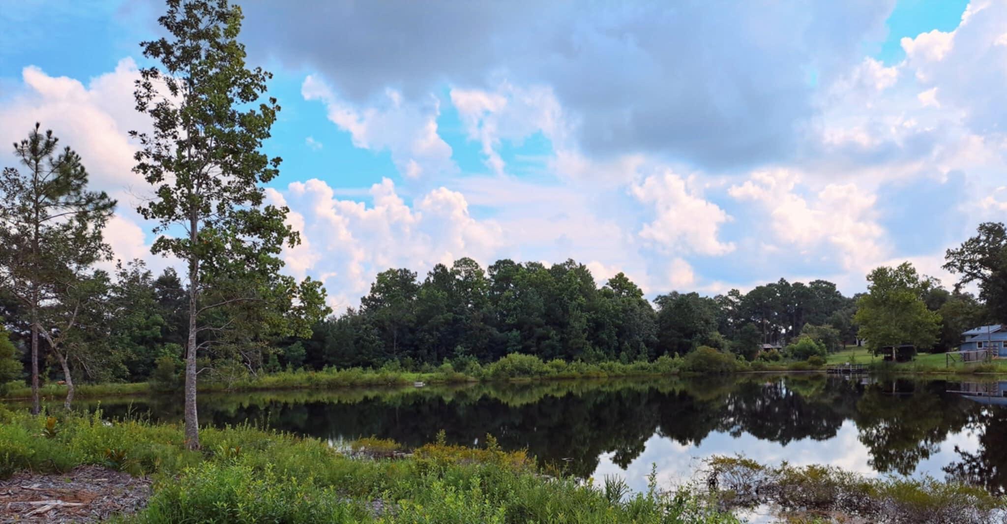 a view of a lake with green space