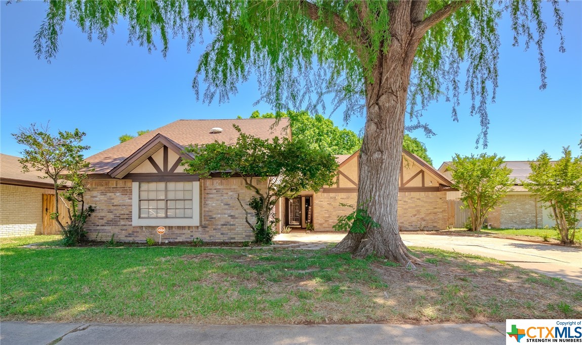 front view of a house with a tree