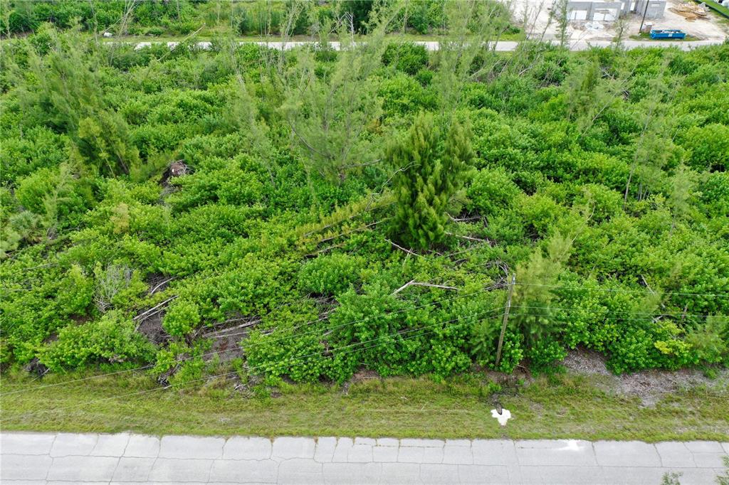 a view of a yard with a tree