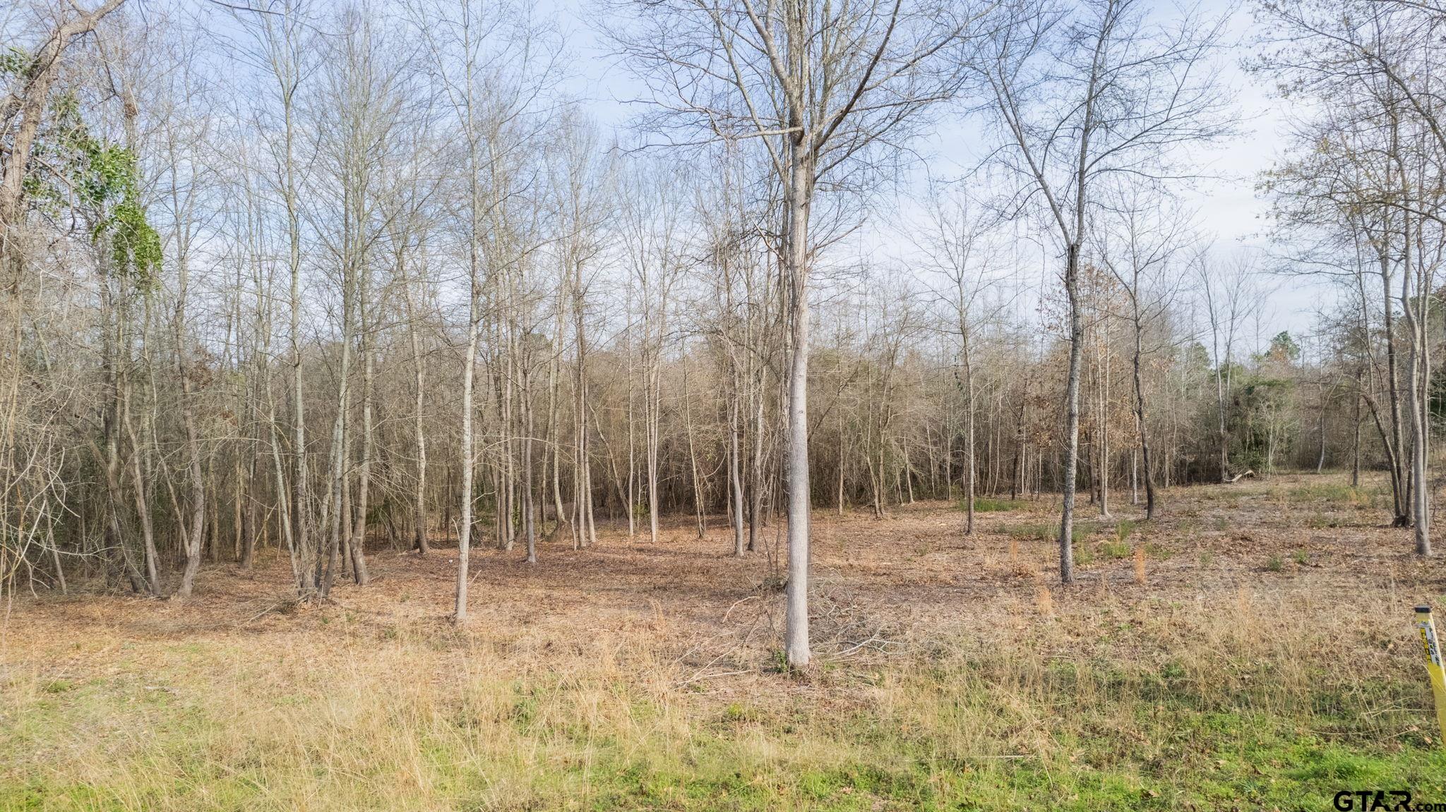 a backyard of a house with lots of tall trees