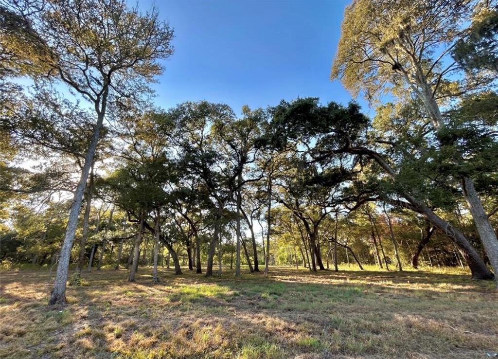 a view of outdoor space with trees all around