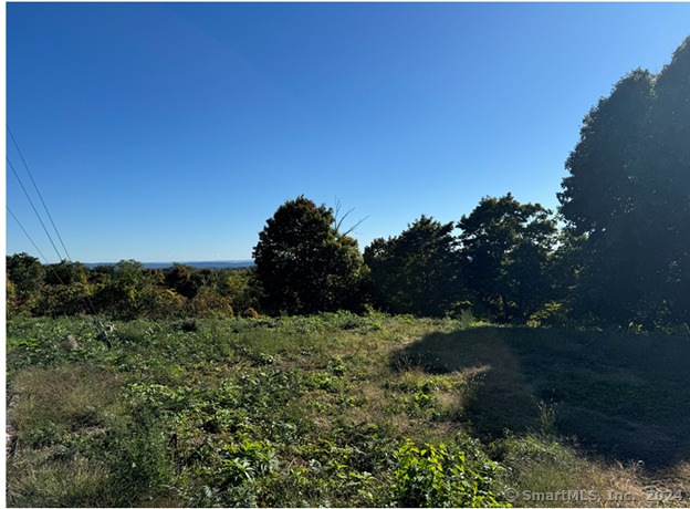 a view of a garden