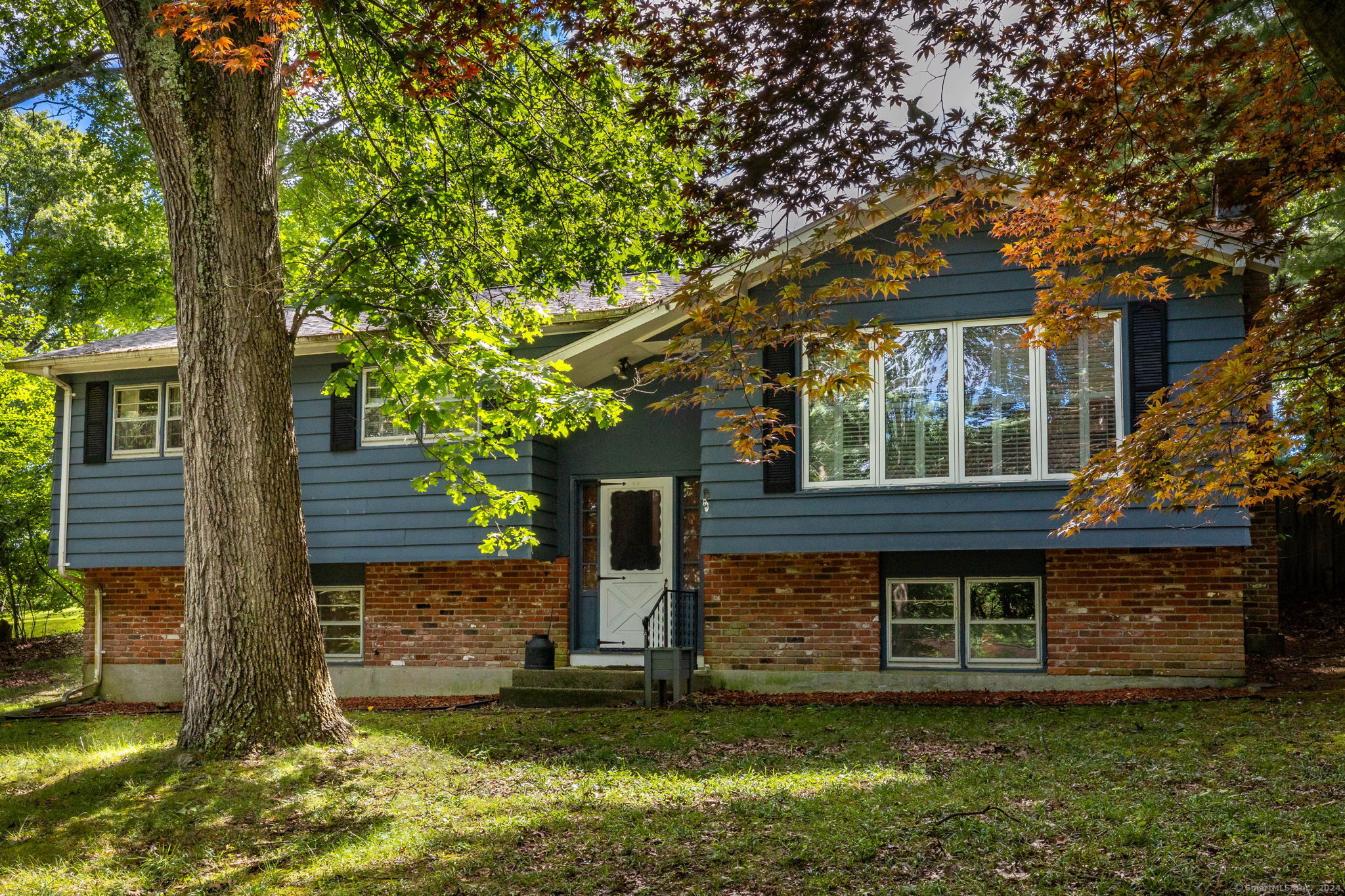 a view of a house with a tree in the yard