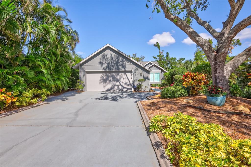 a view of a house with yard and tree s