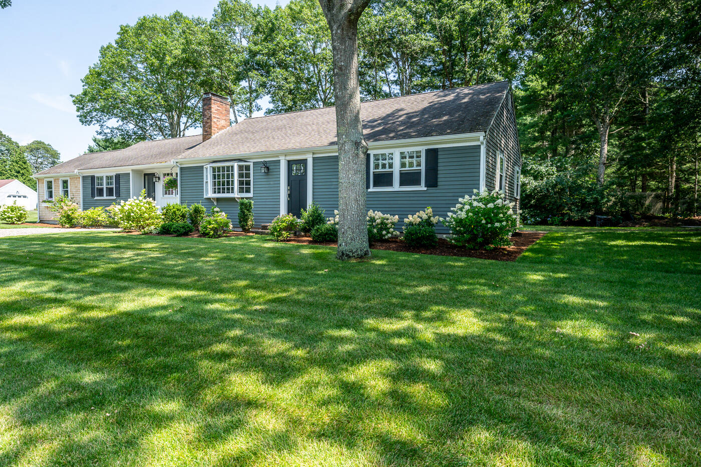 a front view of house with yard and green space