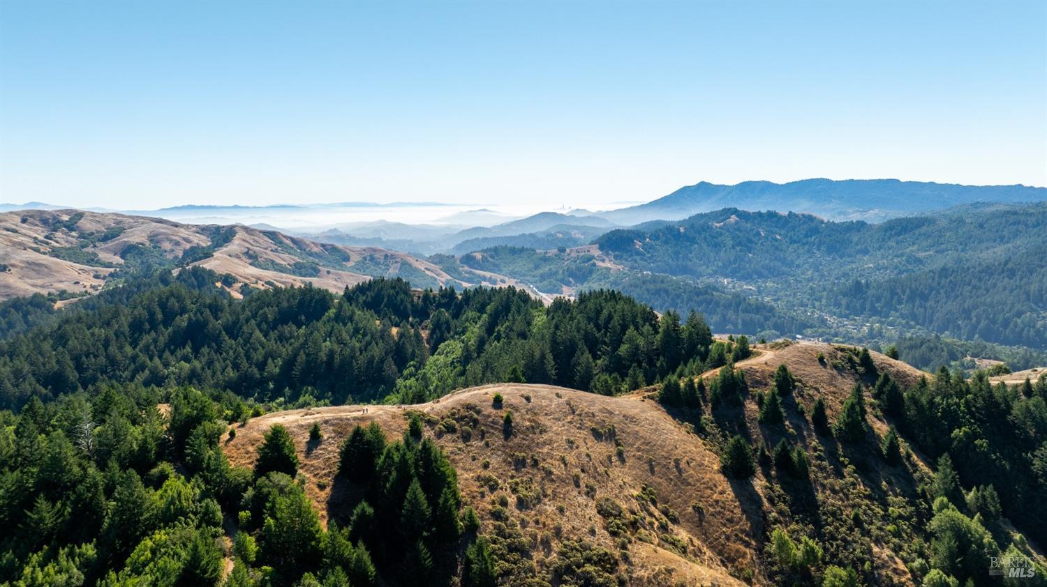 a view of a lot of trees in the distance