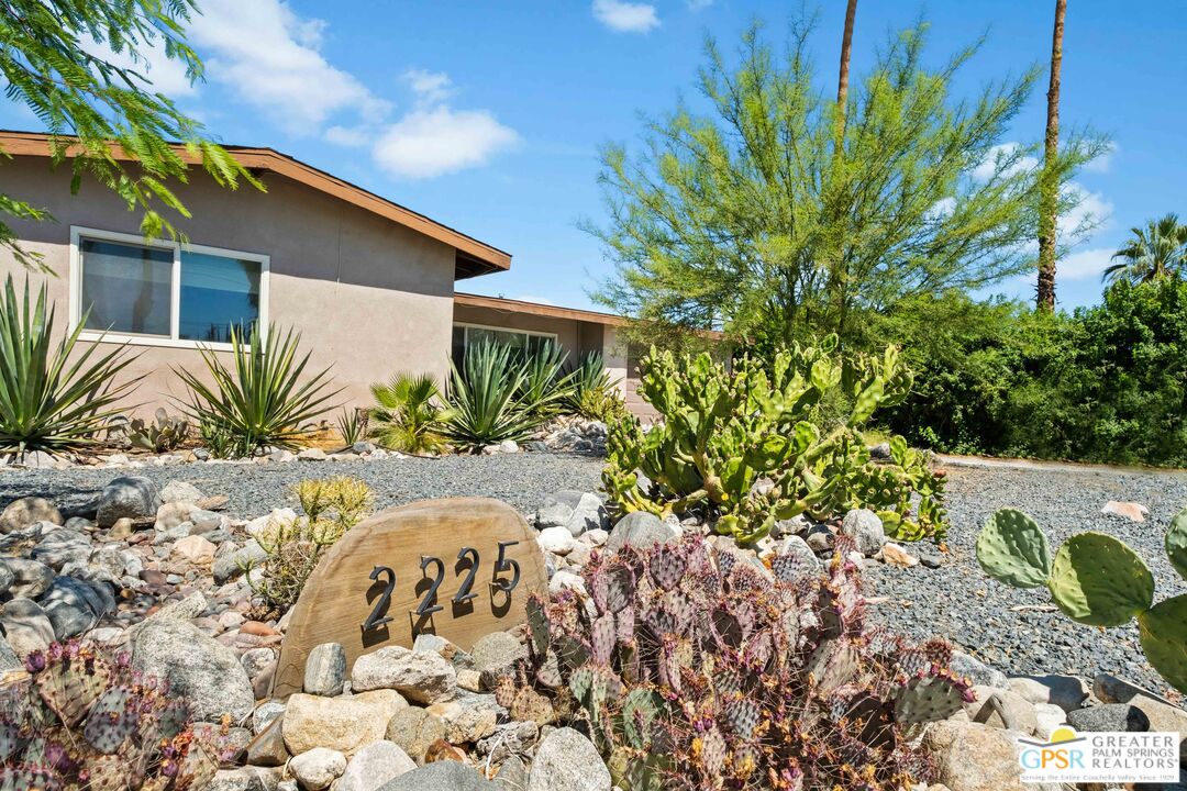 a potted plant sitting in front of a house