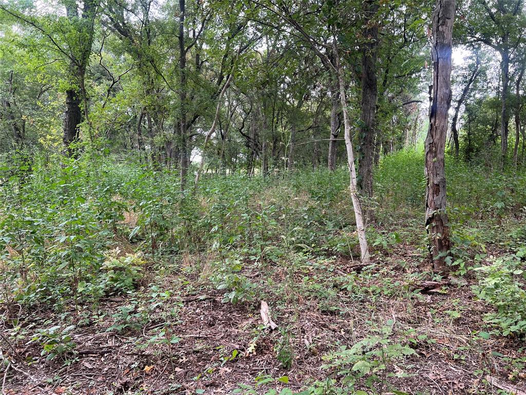 a view of outdoor space and trees