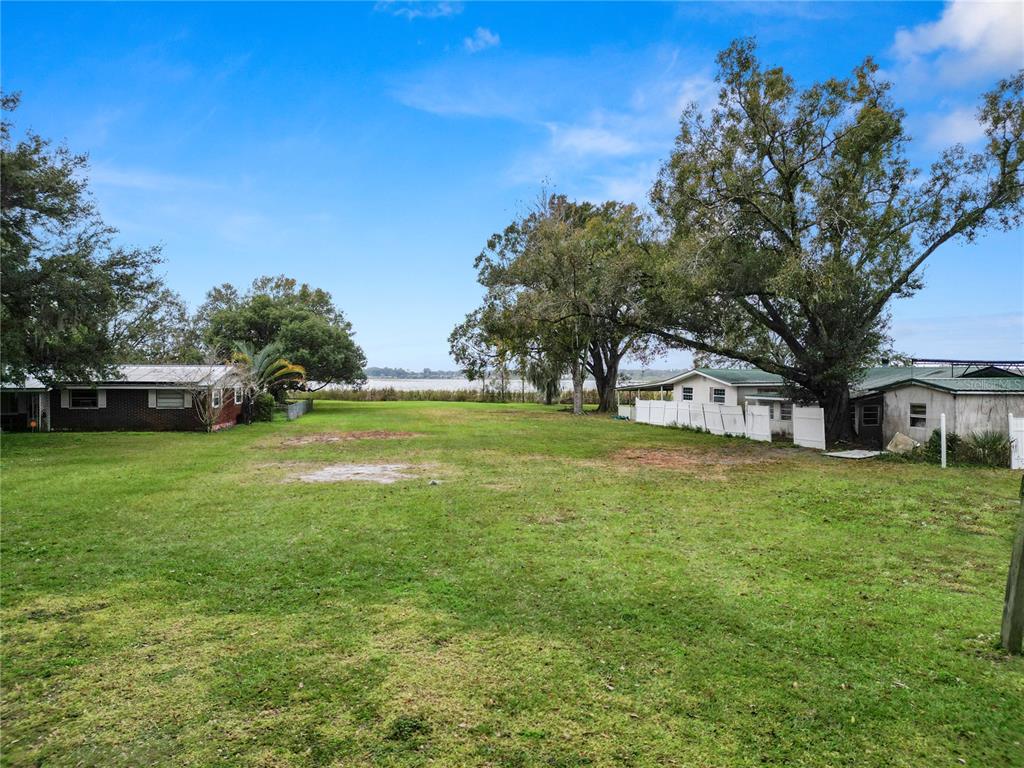 a view of a trees in front of a house