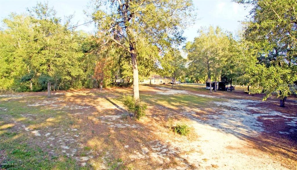 a view of yard with trees