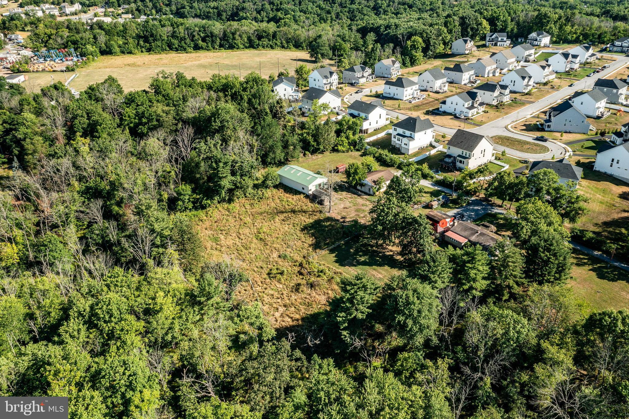 a view of yard with green space