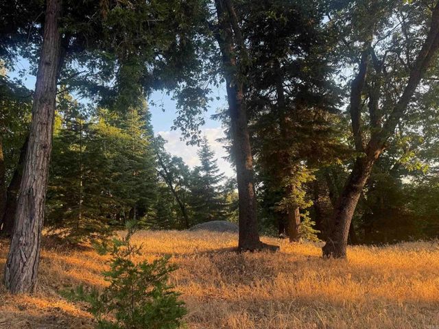 $299,000 | 10 Acres Greenfield Palomar Mountain Ca