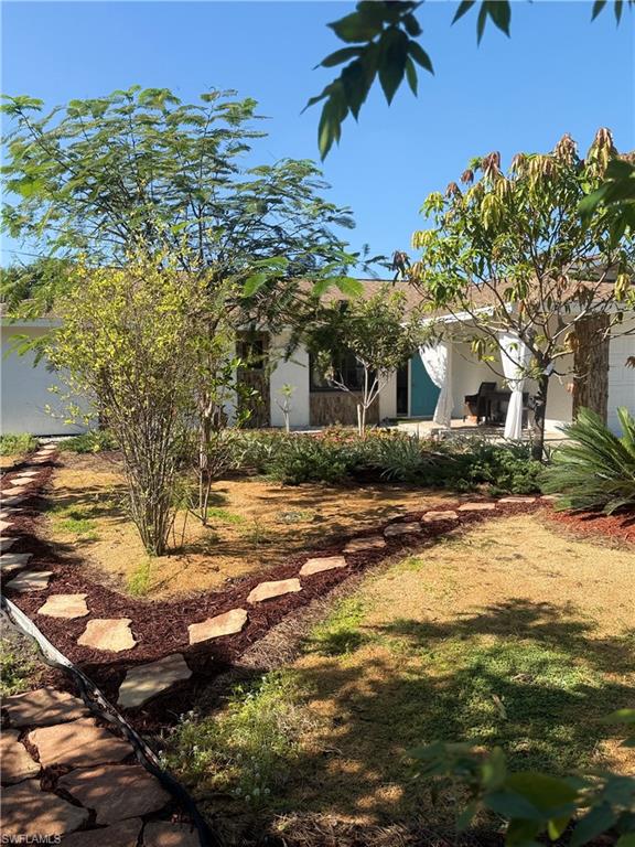 a view of a yard with plants